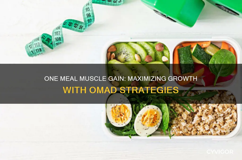 how to gain muscle while eating one meal a day