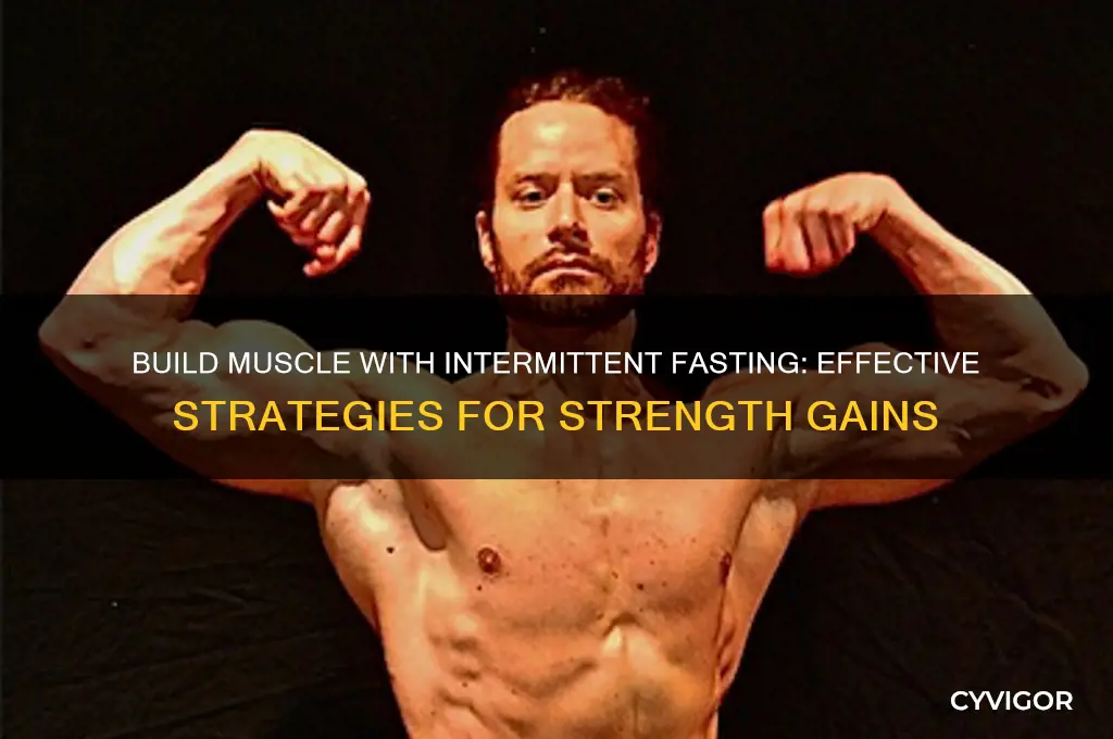 how to gain muscle while itermittent fasting