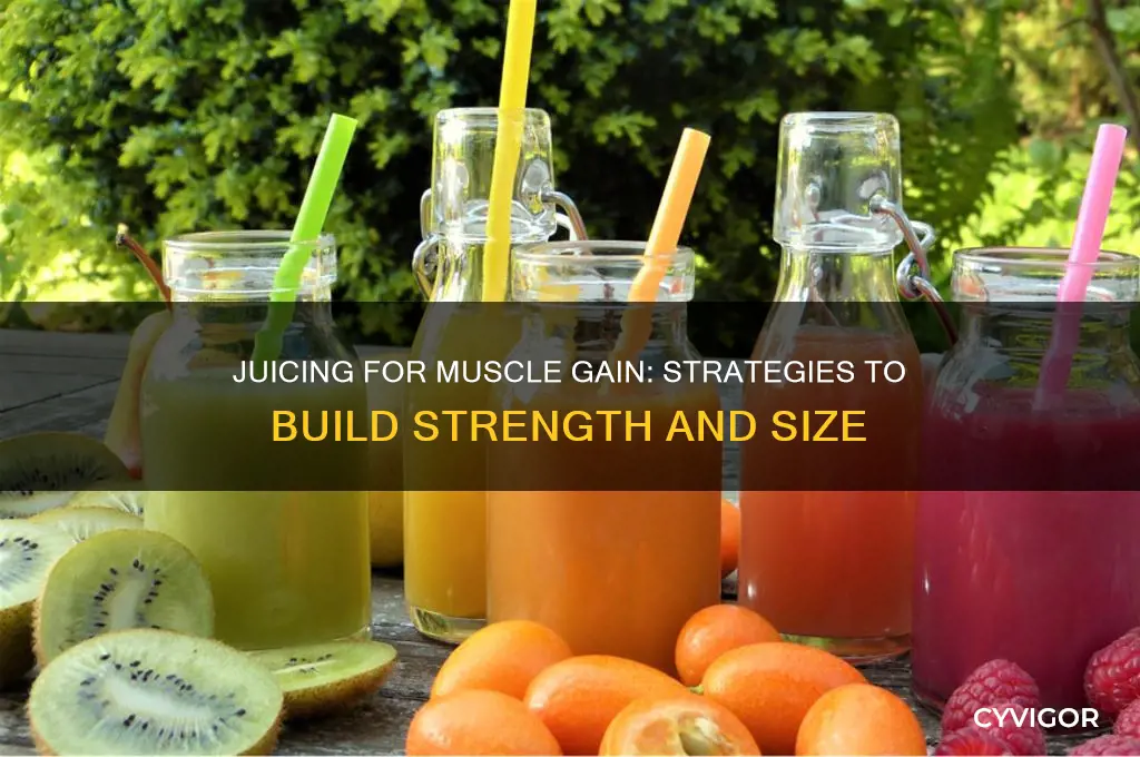 how to gain muscle while juicing