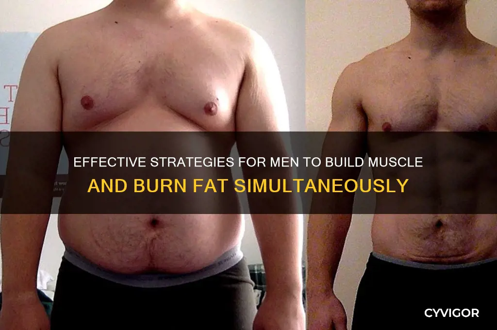how to gain muscle while losing fat men