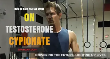 Maximize Muscle Growth: Effective Strategies on Testosterone Cypionate