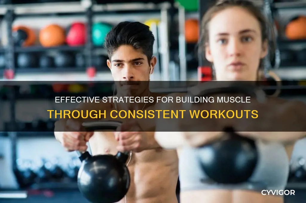how to gain muscle while owkring out