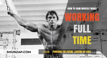 Maximize Muscle Growth: Balancing Full-Time Work and Fitness Goals