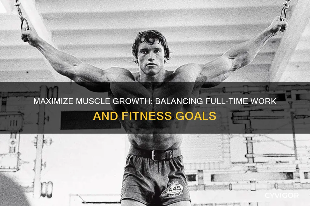 how to gain muscle while working full time