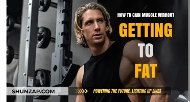 Lean Muscle Building: Strategies to Stay Shredded While Gaining Mass