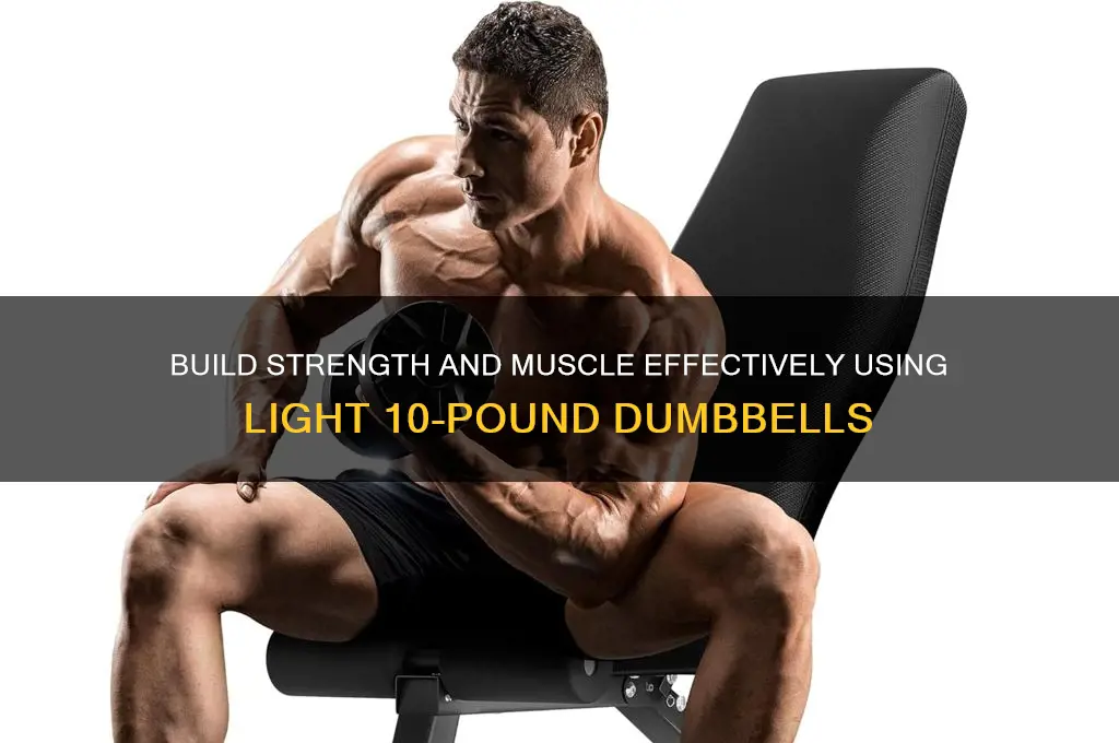 how to gain muscle with 10 pound dumbbells