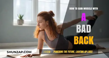 Build Muscle Safely: Strategies for Strength with a Bad Back