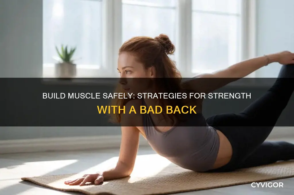 how to gain muscle with a bad back