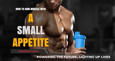 Maximize Muscle Growth: Strategies for Small Appetites to Build Strength