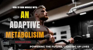 Mastering Muscle Gain with an Adaptive Metabolism: Strategies for Success