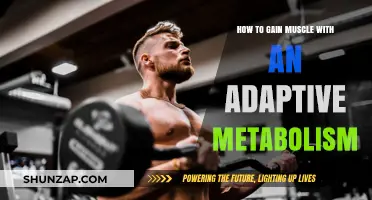 Mastering Muscle Gain with an Adaptive Metabolism: Strategies for Success