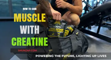 Maximize Muscle Growth: Effective Creatine Strategies for Strength and Size