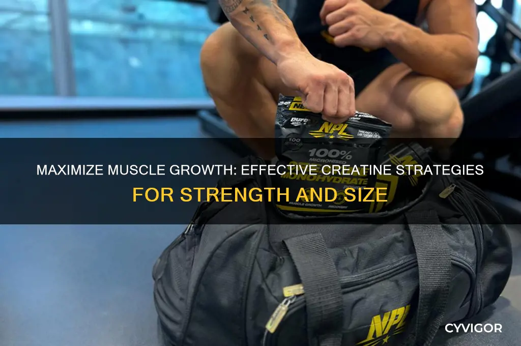 how to gain muscle with creatine