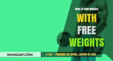 Build Strength and Size: Effective Free Weight Muscle-Building Strategies