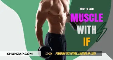 Gain Muscle with Intermittent Fasting: Effective Strategies for Strength and Size