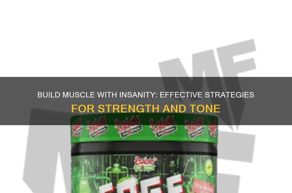 how to gain muscle with insanity