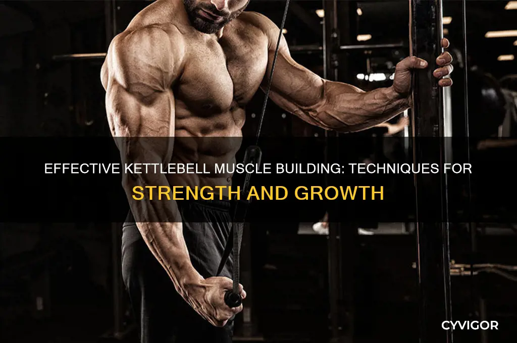 how to gain muscle with kettlebells