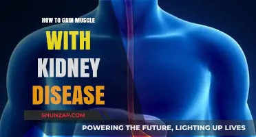 Building Muscle Safely: A Guide for Kidney Disease Patients