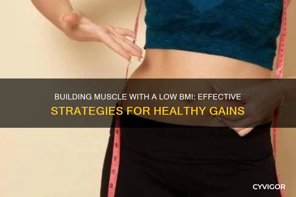 how to gain muscle with low bmi