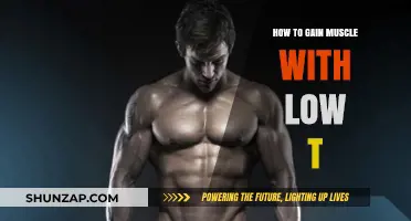 Building Muscle with Low Testosterone: Effective Strategies for Strength Gains
