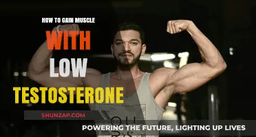 Building Muscle with Low Testosterone: Effective Strategies for Strength Gains