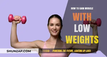 Build Muscle Effectively Using Light Weights and Smart Techniques