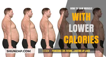 Build Muscle on a Calorie Deficit: Effective Strategies for Lean Gains