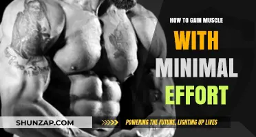 Effortless Muscle Building: Simple Strategies for Maximum Gains