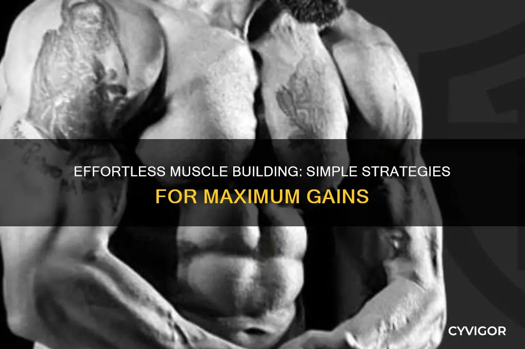 how to gain muscle with minimal effort
