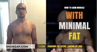 Efficient Muscle Building: Strategies to Minimize Fat Gain Effectively