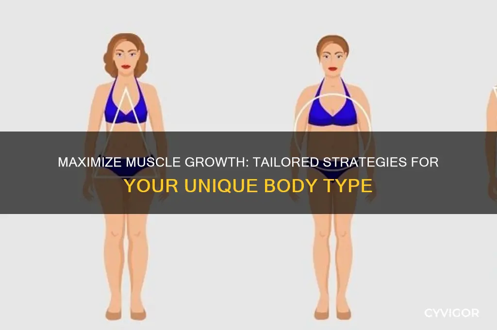 how to gain muscle with my body type