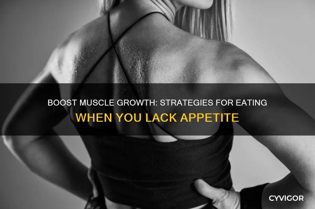 how to gain muscle with no appetite