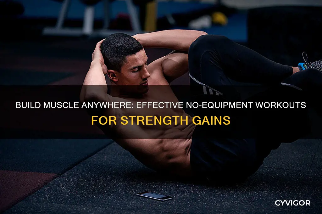 how to gain muscle with no equipment