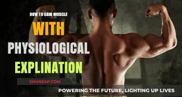 Muscle Building Science: Physiological Strategies for Optimal Growth