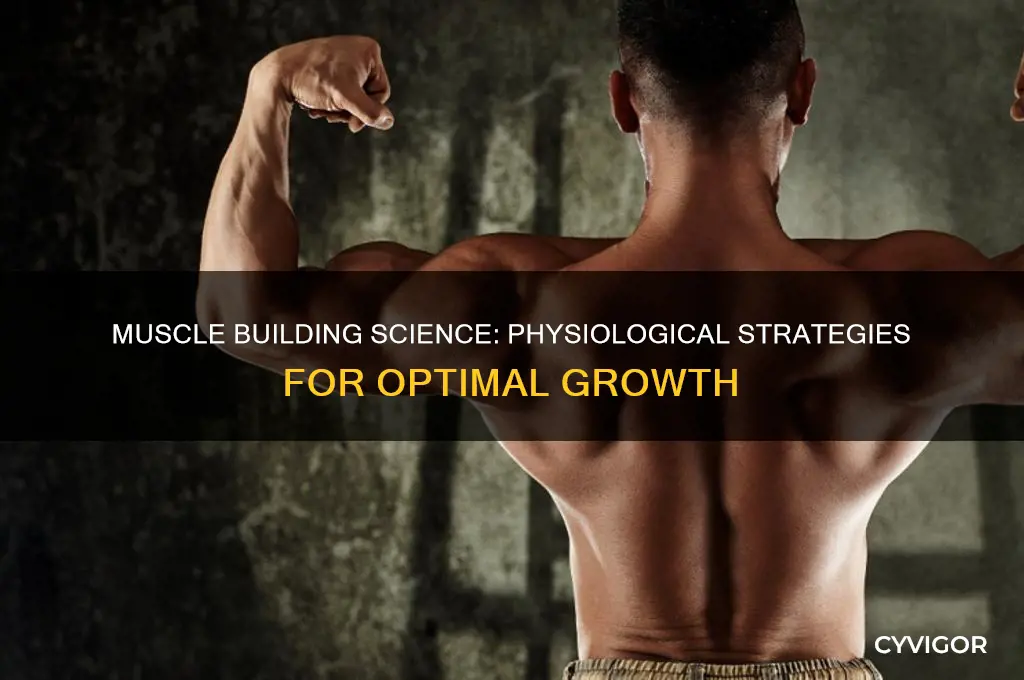 how to gain muscle with physiological explination