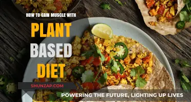 Plant-Based Muscle Building: Strategies for Strength and Growth