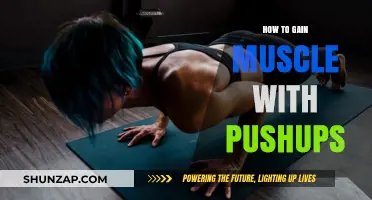 Master Pushup Techniques to Build Strength and Gain Muscle Fast