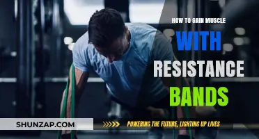 Effective Muscle Building Strategies Using Resistance Bands for Strength Training