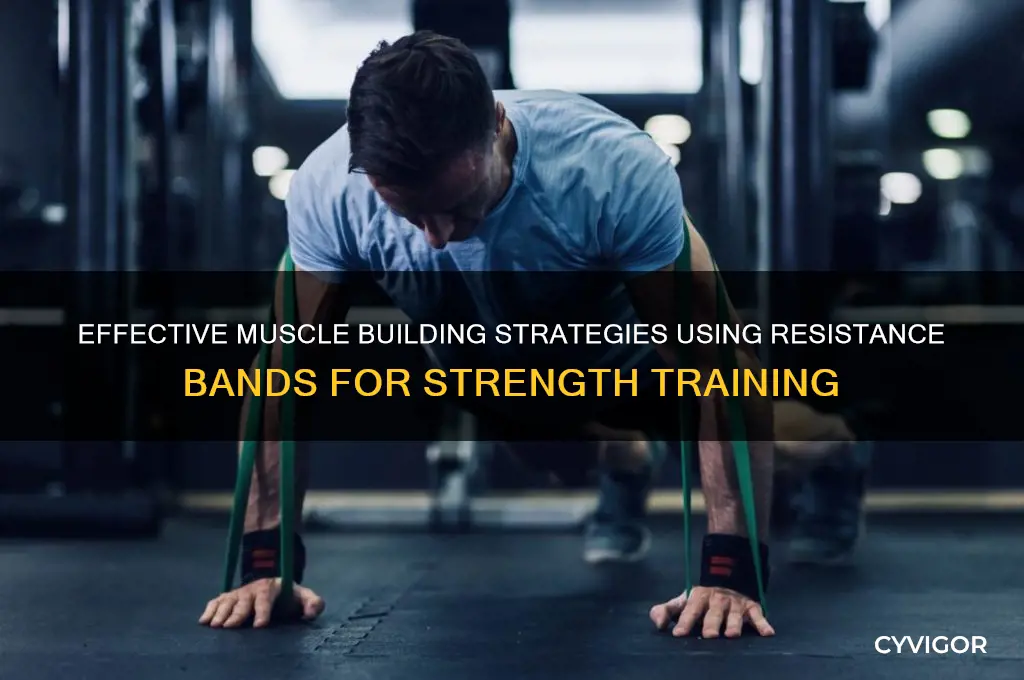 how to gain muscle with resistance bands