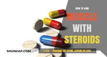 Building Muscle with Steroids: Effective Strategies and Safety Tips