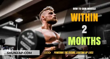 Effective Muscle Building Strategies for Quick Results in 2 Months
