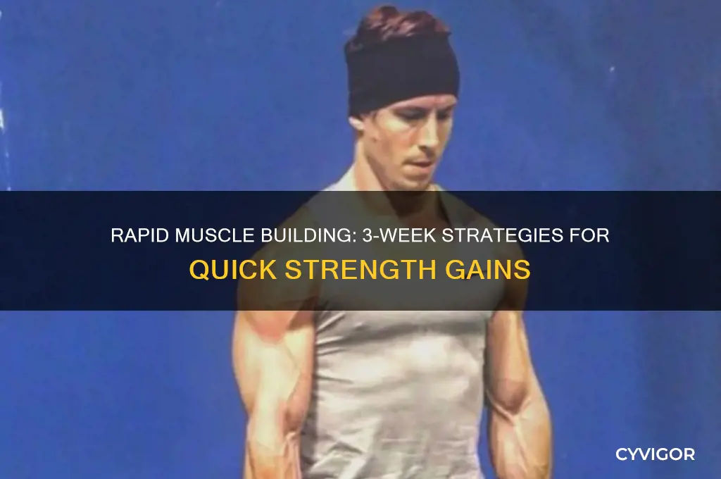 how to gain muscle within 3 weeks