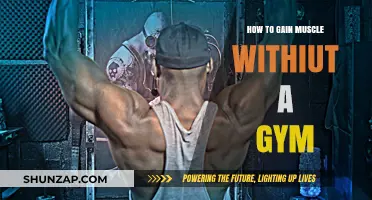Build Muscle at Home: Effective Strategies Without a Gym Membership