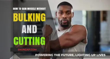 Sustainable Muscle Gain: Lean Strategies Beyond Bulking and Cutting