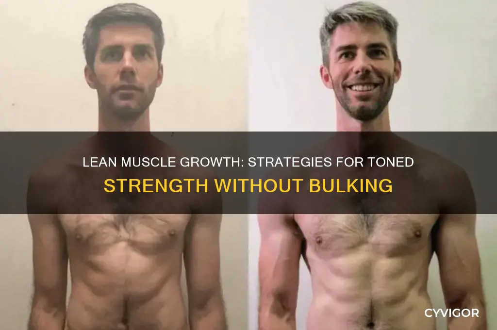 how to gain muscle without bulking