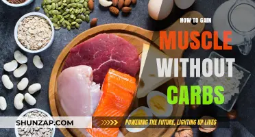 Build Muscle on Low-Carb: Effective Strategies for Strength and Size