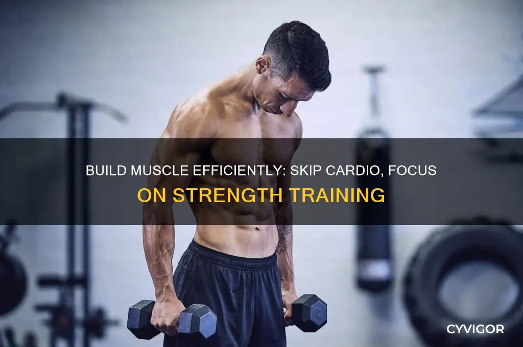 how to gain muscle without cardio