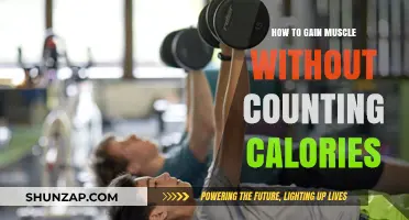 Build Muscle Effortlessly: Simple Strategies Beyond Calorie Counting