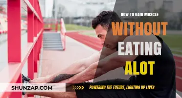 Maximize Muscle Growth with Minimal Calories: Smart Strategies Revealed