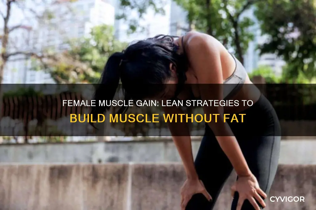 how to gain muscle without gaining fat female